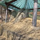 영풍월호리마애석불좌상 이미지