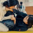 칼슨그레이시 코리아 이미지