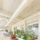 드림캐쳐 | 강동 비상주사무실, 드디어 내 사업 시작했어요! (강동천호 비상주사무실 드림캐쳐 후기)