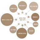 (주)지웨이 이미지