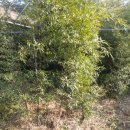 계동농장 이미지