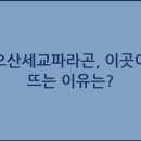파라곤 이미지