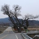 병곡면사무소 이미지