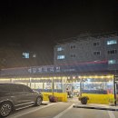 밀양 국밥 맛집 밀양 현지 맛집 밀양 예림 맛집 예림돼지국밥에 잡내없는 수육까지 푸짐하게 먹고 왔어요