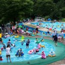 천동물놀이장 이미지