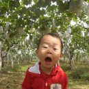 참빛농장 이미지