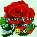 까까머리 - 70886 | 까까머리