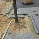 원종2동행정복지센터 이미지