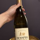 삼미집 | 청담 맛집 삼미집 블랙 내돈내산 솔직 후기