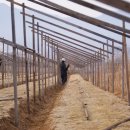 서원농장 이미지