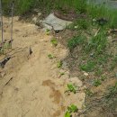 영배농장 이미지