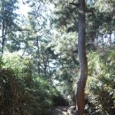 죽변장식 이미지