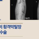 합천동물병원 이미지