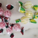 레몬과 오렌지 | 입덧캔디 포지타노 레몬 vs 모로오렌지 비교 후기 (임산부 캔디)