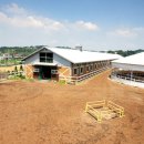 궁평목장 이미지