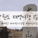여여한사생활 이미지