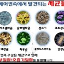 천지자동차서비스