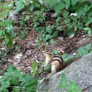 박달재자연휴양림 이미지