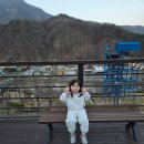 새재리아 네이버블로그