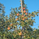 대호만로 이미지