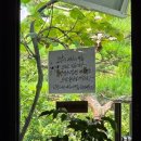 포렛 | 정읍에는 민간 정원 카페가?! &#39;들꽃마당•제이포렛&#39; 간단 후기~!