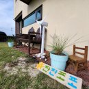 판판포포 이미지