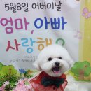 효동