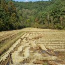 대구지방법원 영덕지원 이미지