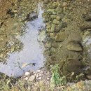 황토편백하우스 이미지