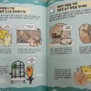 모여라동물병원 이미지