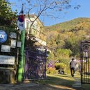 내가 만든 향기로운 정원, 보타닉 가든 | 밀양시티투어 서부권코스, 하늘빛 라벤더 비누 만들기 체험 – 향기로운 데이트코스 추천