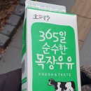 SM할인마트
