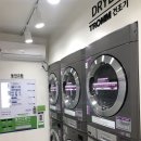 워시큐녹두 이미지