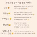 카다리나헤어라인 | [뷰티웨일] 눈썹 반영구 + 소레아 헤어라인 #내돈내산 후기