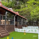 말티2 | [가평 댕댕이 애견펜션 실버; 말티3] 만족스러웠던 1박2일 여행 후기