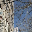 벨라 에스테틱 | 주안 웨딩케어 맛집 뉴벨라에스테틱 솔직 후기!