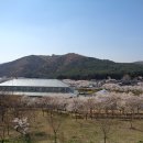 화랑촌 이미지