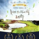 스카이 카서비스 이미지