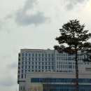 만남휴게실 | 세종충남대병원 4박5일 제왕절개 출산후기 | 37주4일, 완전전치태반 경산모