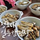 동죽, 맛조개 캐기 좋은 캠핑장: 청포대 일등캠핑장(무료 갯벌 체험)