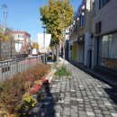 대한공인 행정사사무소 이미지