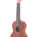 성인 우쿨렐레 이미지