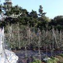 백경농장 이미지