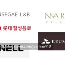 대유인터내셔널 이미지