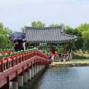 부여사나래캠핑농원 | 충남 부여 여행 : 관광지 맛집 캠핑장 리스트