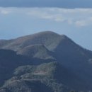 진산농장1 이미지