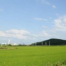장항1리마을회관 이미지