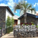 애월 다움 | 제주 애월 마사지 더숲아로마앤테라피리저브 가족 커플여행 추천
