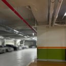 선운치과의원 이미지