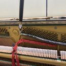 피아노교실(오전반) 이미지